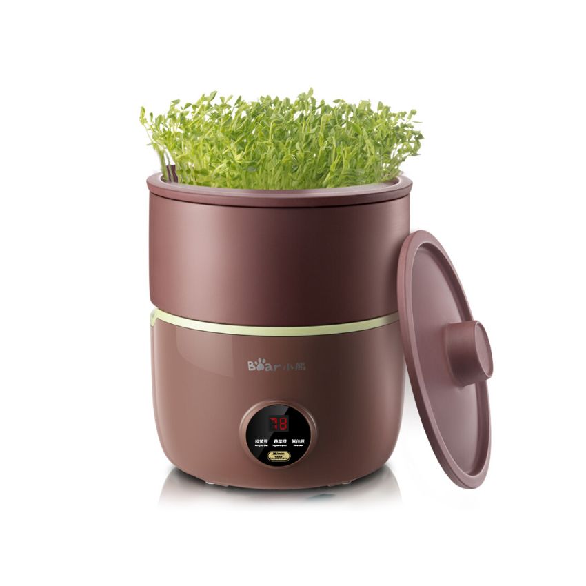 Bear小熊 家用全自动豆芽机 DYJ-B01C1 紫砂陶瓷罐 断电记忆
