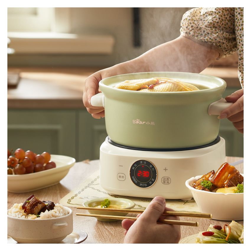 Bear小熊 电砂锅电炖锅煲汤锅 养生煮粥锅煲仔饭快炖分体式电砂锅 3L
