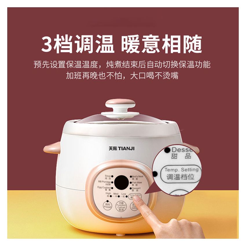 Tianji天际 微电脑隔水电炖盅 DGD10-10BAG 全瓷内胆 母婴适用